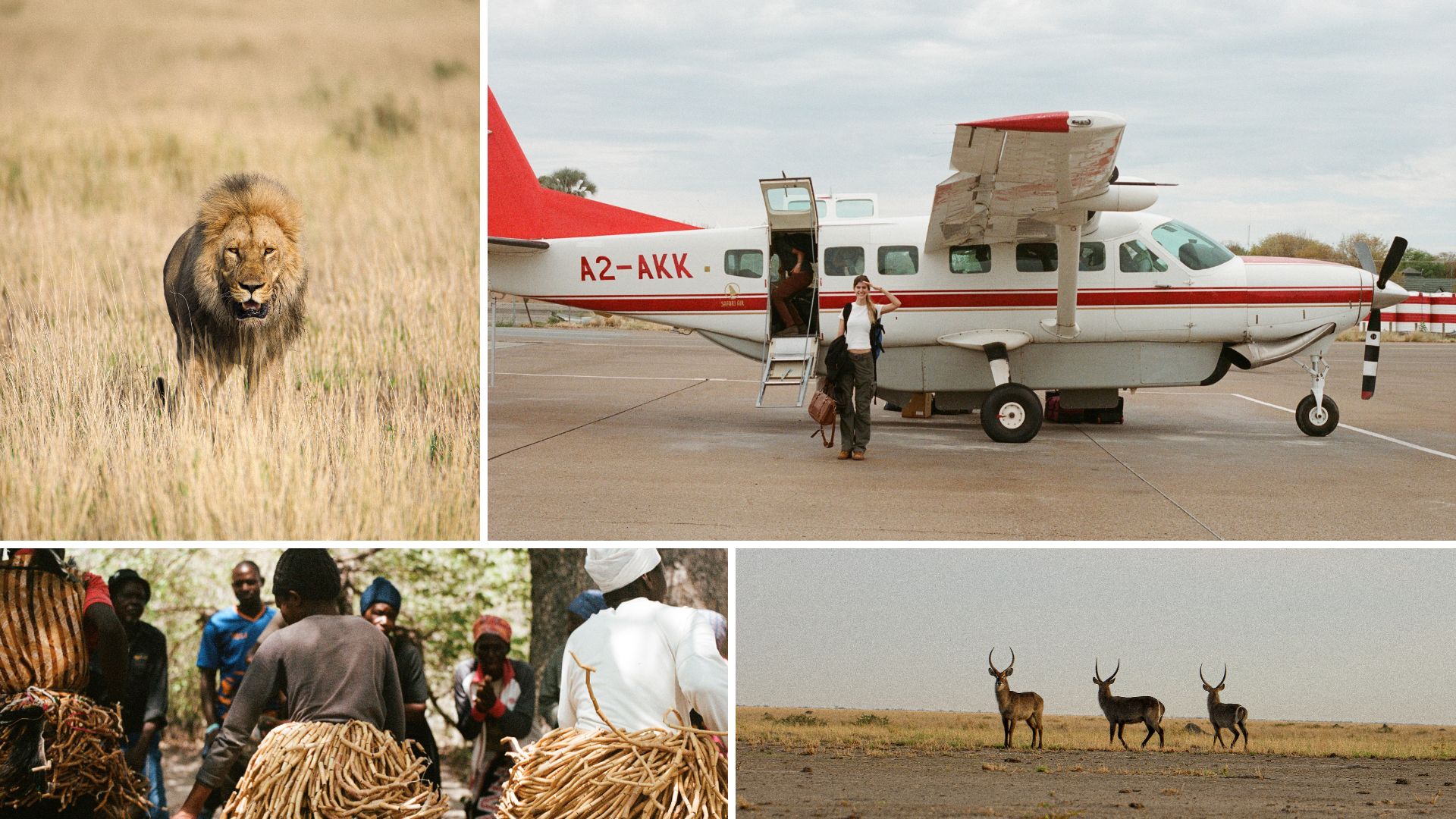 Untitled design (13).jpg